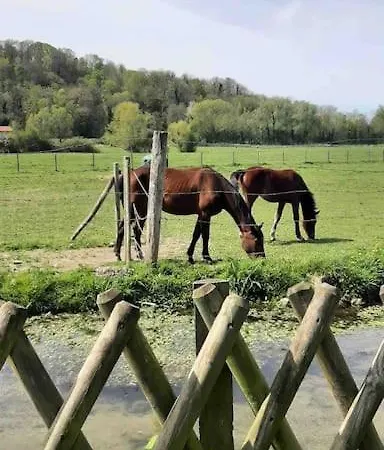 Guest house Au Fil Du Bec : Gite Avec Jardin - Centre Village 3*